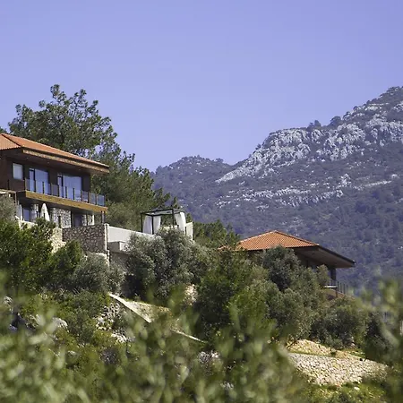 Alp 1